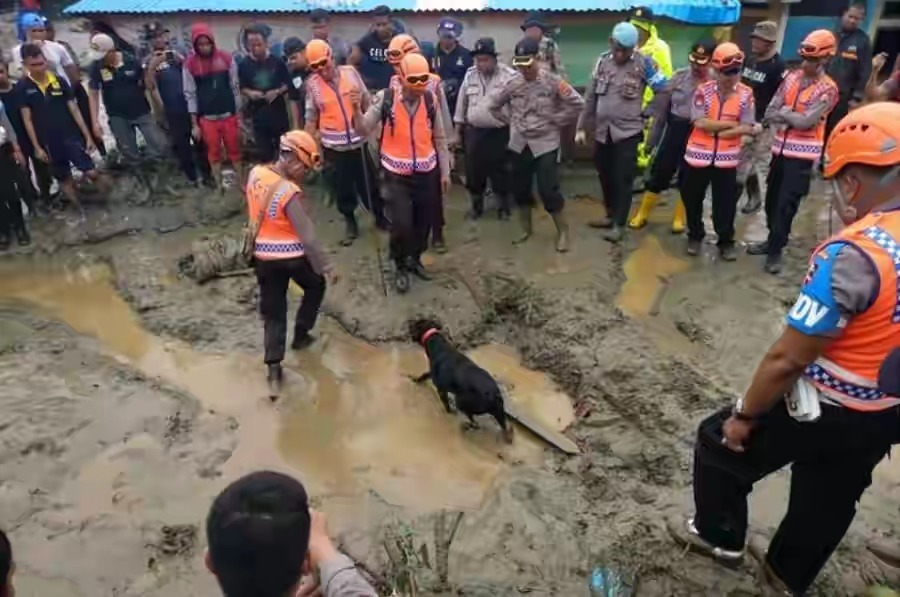 Tim k-9 Polri Temukan 15 Jenazah Korban Banjir Bandang di Papua