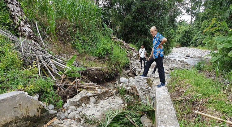 Dinding Saluran Irigasi Ambruk, Puluhan Hektar Sawah di BS Terancam Gagal Panen