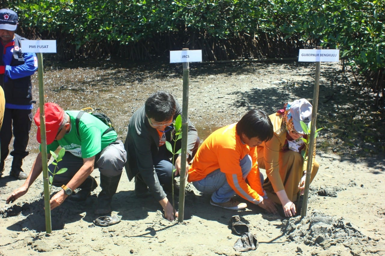 PMI Dirikan Mangrove Education Center