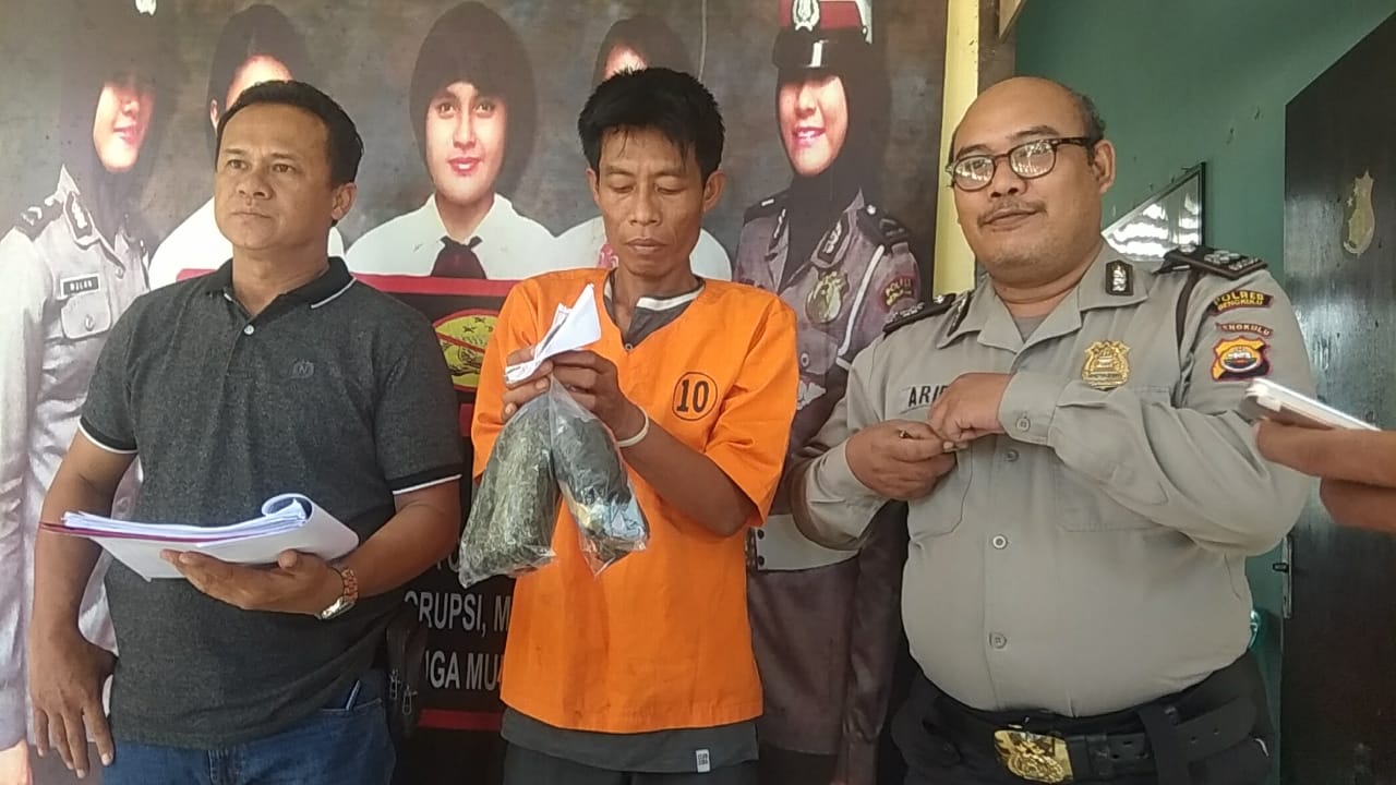 Pelaku Pengedar Ganja