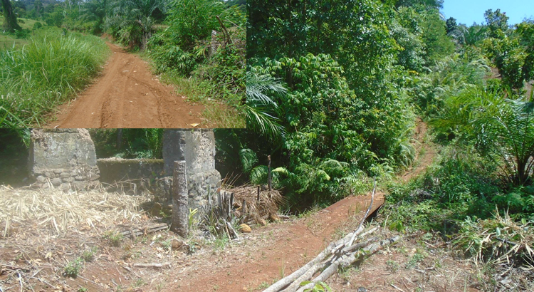 Kondisi jalan di daerah Seluma