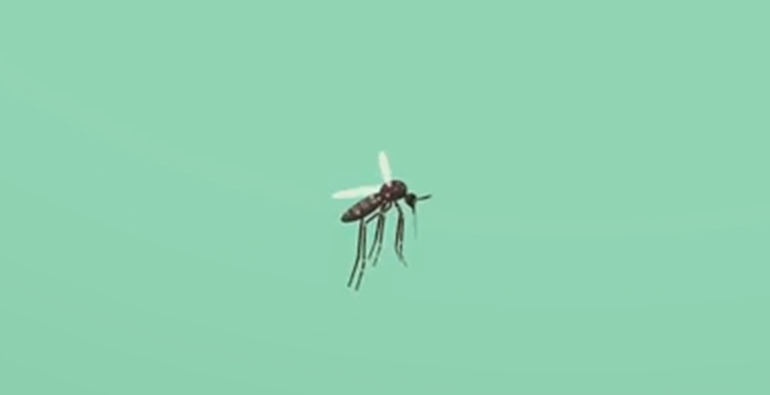 Ilustrasi nyamuk