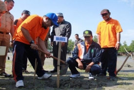 Walikota Bengkulu H. Helmi Hasan saat penanaman mangrove kerjasama CSR Pertamina dan Universitas Muhammadiyah Bengkulu (UMB)