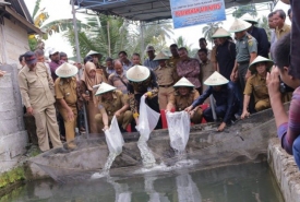 Budidaya Ikan di Bengkulu Selatan