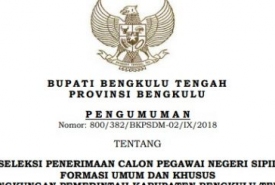 Penerimaan CPNS 2018