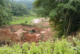 Kondisi Lahan Persawahan Warga Desa Kampung Bogor,  Kepahiang yang diterjang longsor Kamis (24/1/2019)
