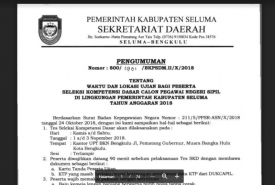 Penerimaan CPNS