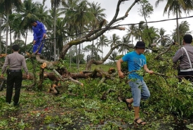 Wakil Bupati Bengkulu Selatan Gusnan Mulyadi dibantu oleh puluhan masyarakat setempat, petugas kepolisian dan beberapa karyawan PLN Ranting Manna membersihkan ranting-ranting pohon tumbang