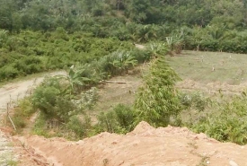 Lahan sawah yang siap dicetak