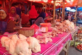 Harga Ayam Potong di Pasar Tradisional Panorama Kota Bengkulu masih tinggi
