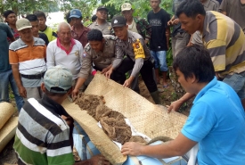 Warga saat memindahkan makam akibat banjir Sungai Padang Guci